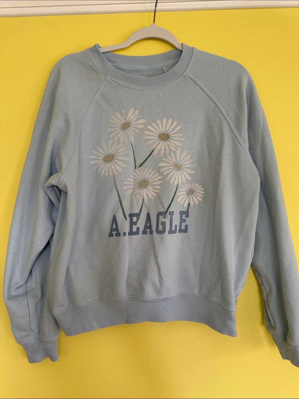 American Eagle Outfitters Pastel Blue Daisy Crewneck Sweatshirt
